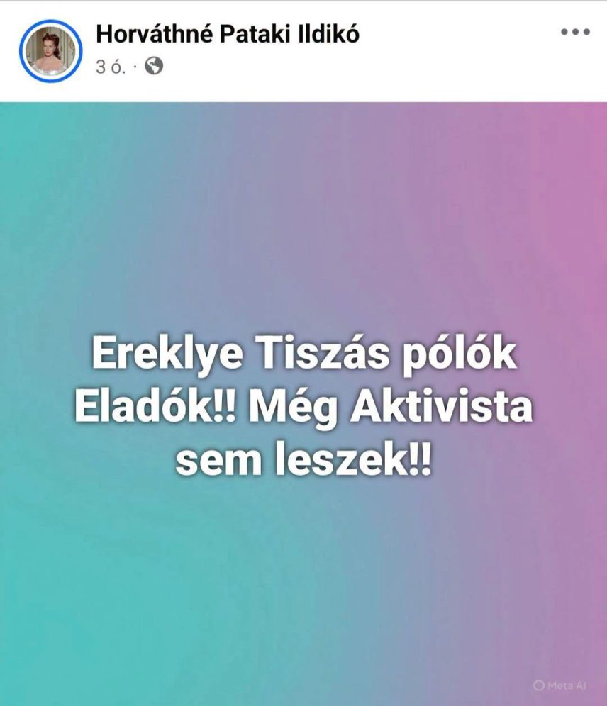 Horvathne-meg-aktivista-sem-leszek.jpg
