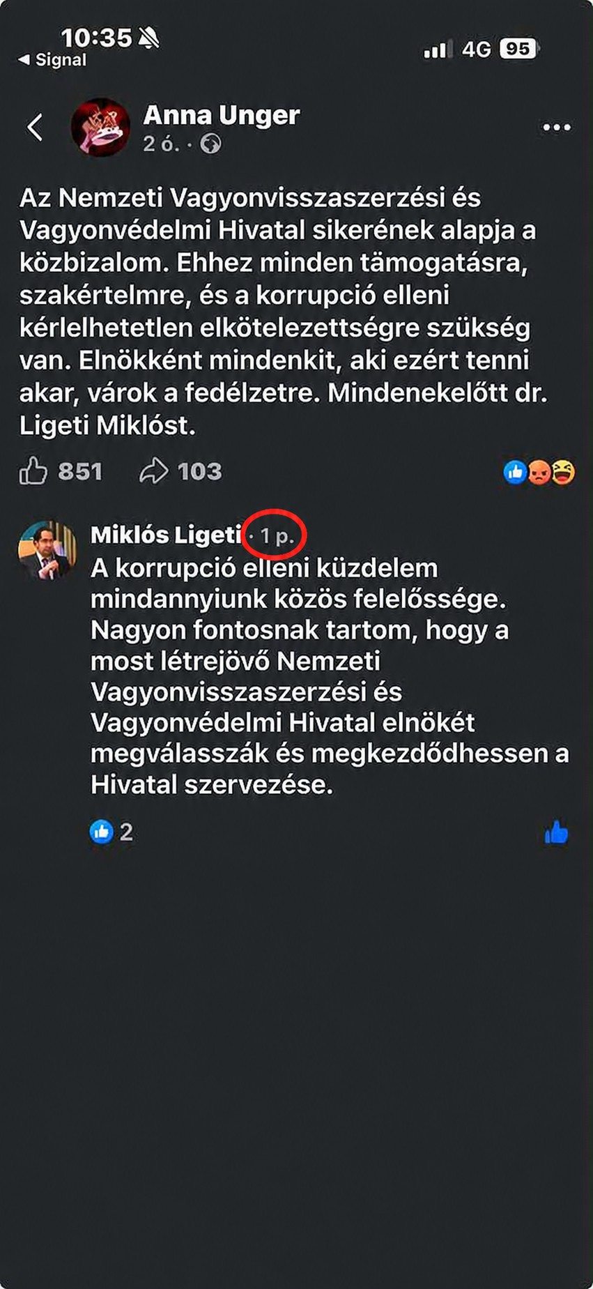 Magyar-Péter-Ligeti-komment-karikaval.jpg
