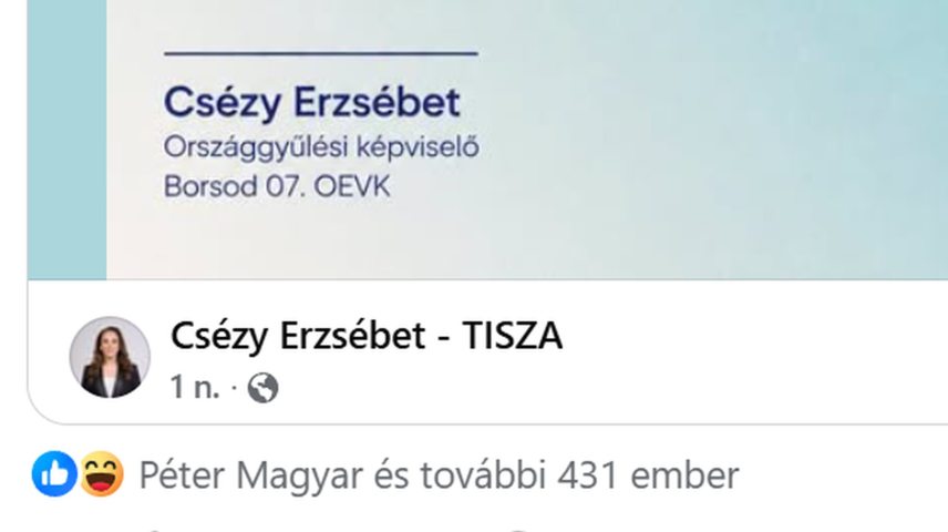 Magyar Péter lájk Csézy és Schummer posztján