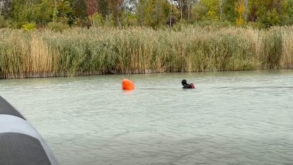 Több évtizedes stégmaradványokat szedtek ki a Balatonból